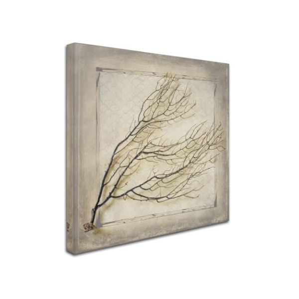 LightBoxJournal 'Starfish Sea Leaf' Canvas Art,18x18